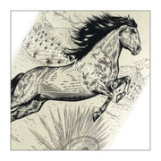 Destilado de Agave, Caballito Cerrero  (700 ml)