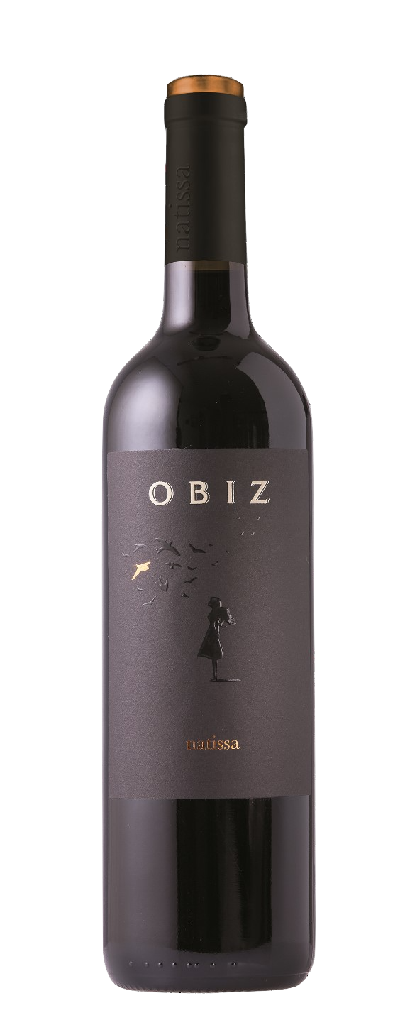 Natissa Rosso, Obiz 2018