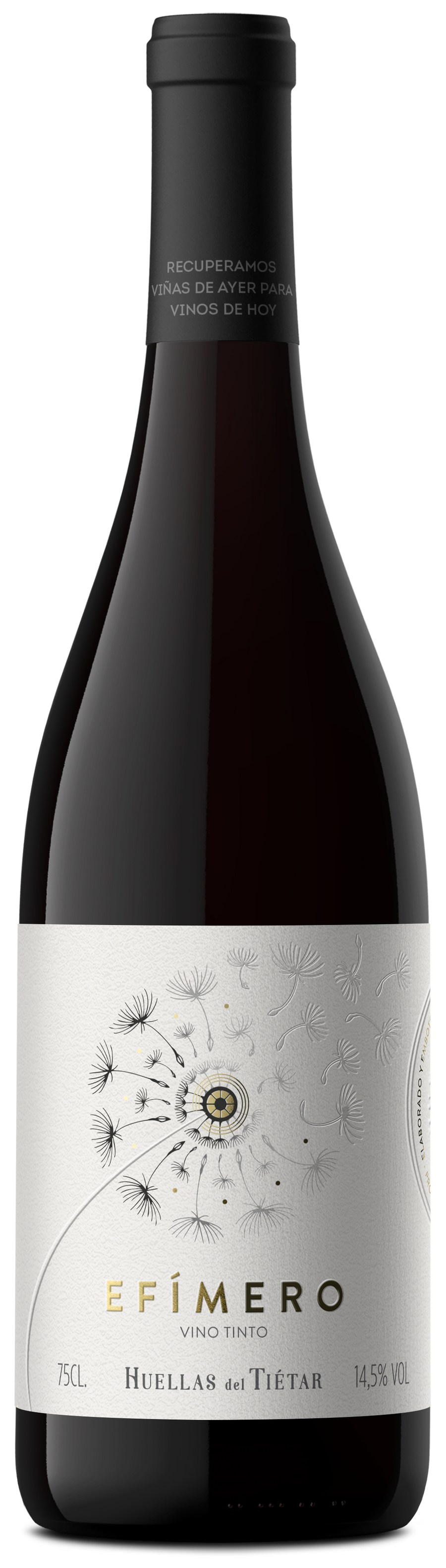 Efimero, Huellas del Tietar 2017