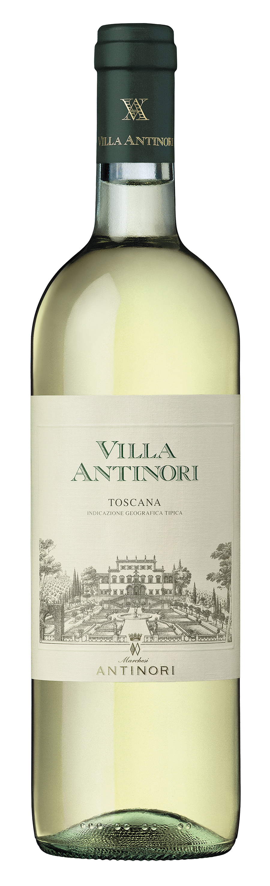Villa Antinori Bianco 2024  (750 ml)