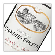Château Chasse-Spleen 2016  (750 ml)