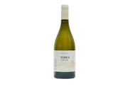 Chardonnay Barrique "Terra Santa" Patrimonio 2023  (750 ml)