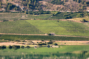 Chardonnay "Didacus" Planeta 2022  (750 ml)
