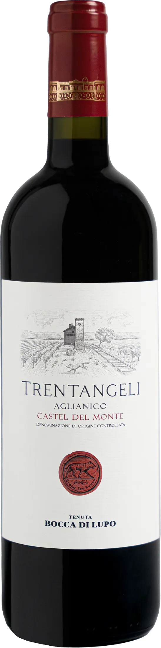 Aglianico "Trentangeli" Tenuta Bocca di Lupo 2020  (750 ml)
