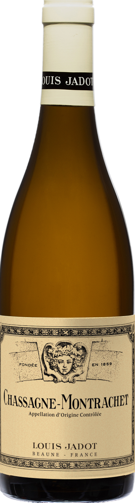 Chassagne-Montrachet, Louis Jadot 2023  (750 ml)
