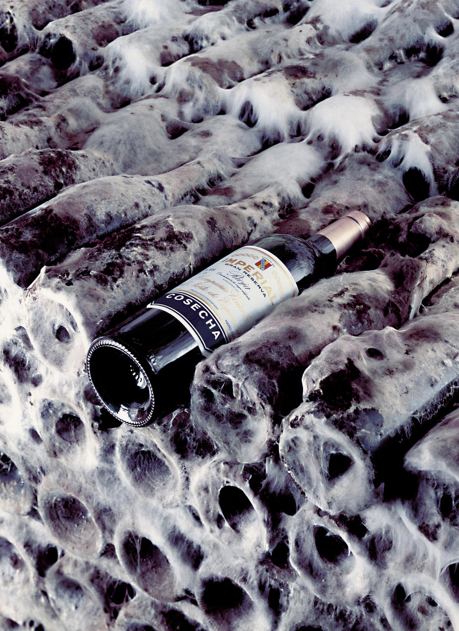 Rioja Reserva "Imperial" CVNE 2019  (750 ml)